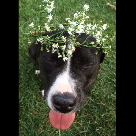 Meet your Posher, Tatiana - Picture 5 of 5